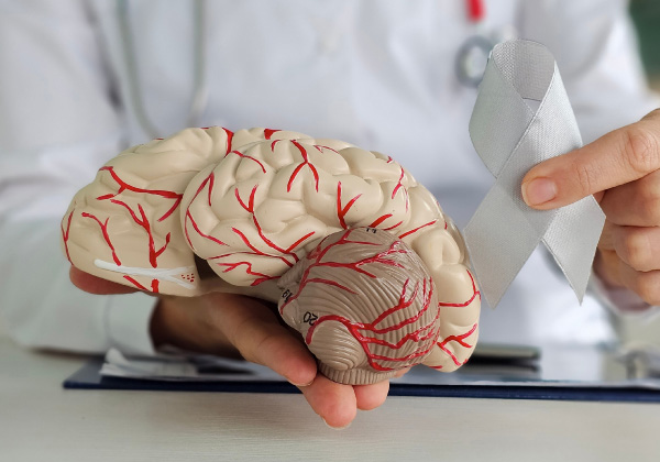 cardiovascular